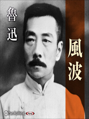 cover image of 風波